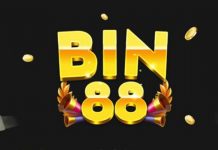 bin88-vin